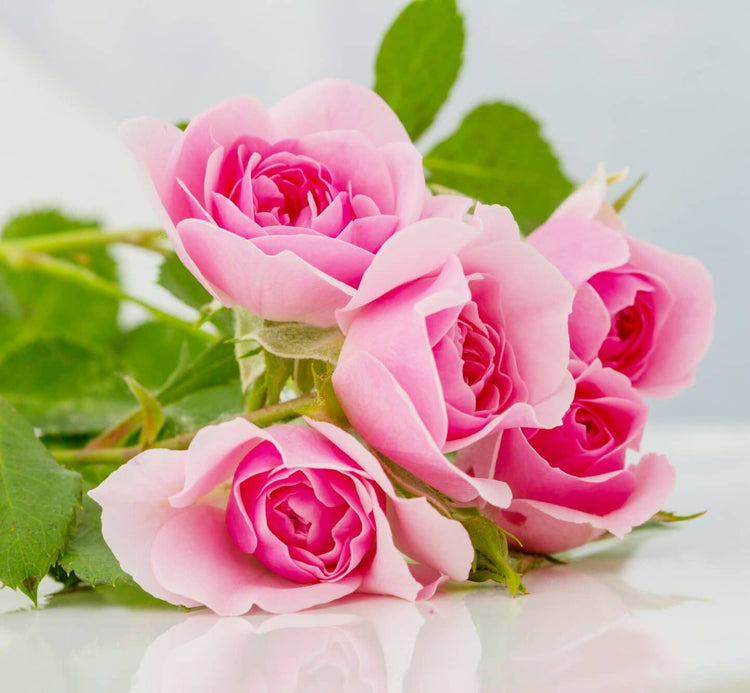 Jabón de Rosa y Papaya